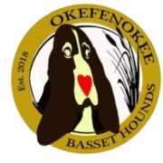 Okefenokee Basset Hounds