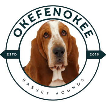 Okefenokee Basset Hounds