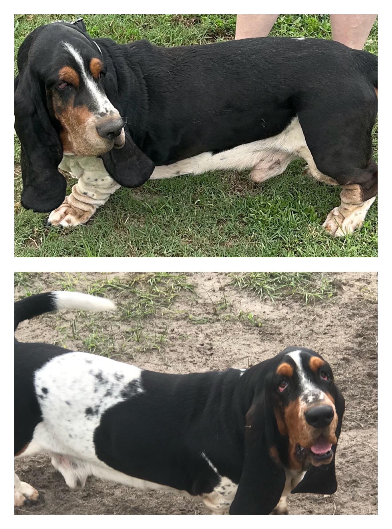 Ringo & Doc